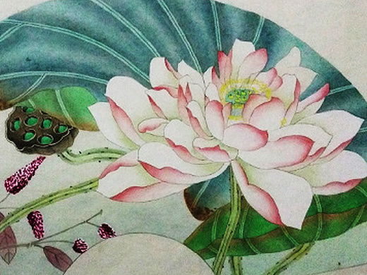 临摹的一组工笔荷花扇形图