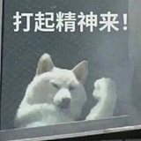 戏君一的头像