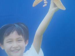 好惊悚的画面！