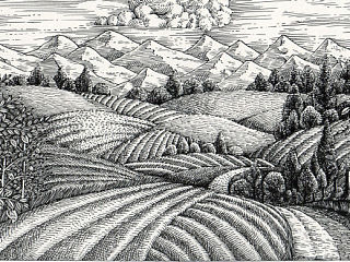 《田园风光》手绘过程