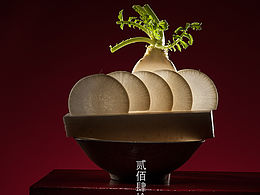 摄影