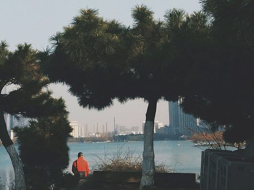 手机随拍（个人主页-ZMjE0OTA2MzY=） - 风光摄影 - 站酷设计师黄小狍原创素材 - 站酷ZCOOL