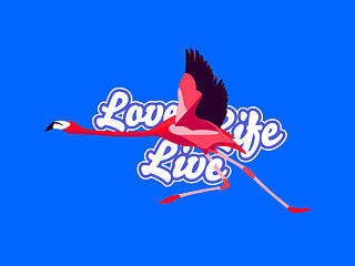 惊慌逃窜的火烈鸟