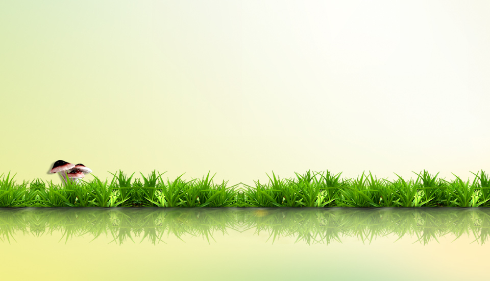 绿色,草,浅绿色,环保,吸氧,积极背景桌面壁纸