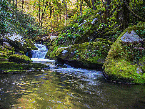 GIF动图制作化妆品海报模仿（个人主页-ZMTM0NzM3MDg=） - 运营设计 - 站酷设计师回忆尽是伤原创素材 - 站酷ZCOOL