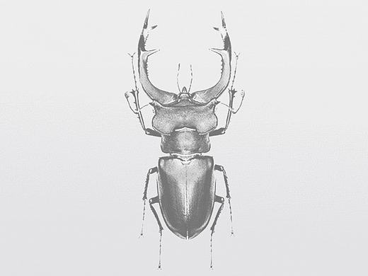 Biont－昆虫爱好者