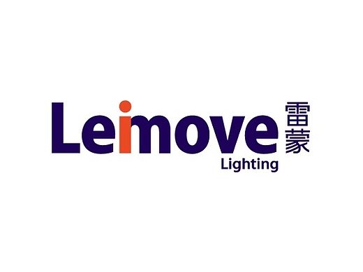 人马品牌设计—雷蒙照明logo及vi设计