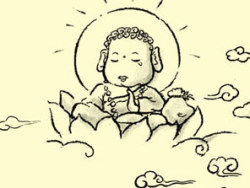 吾空达人—我是佛前的一只小猪