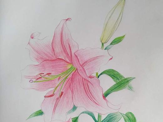 彩铅