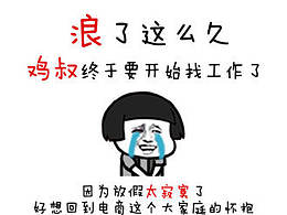 闲着无聊做的求职简历，反正感觉是找不到工作了