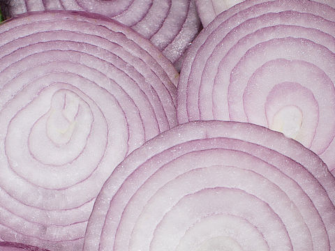 #1252第三十一轮约拍##蔬菜#