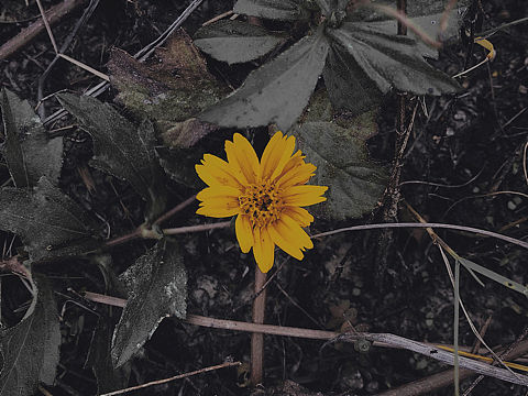 绝境逢生（个人主页-ZMzQ4MTQyMjg=） - 风光摄影 - 站酷设计师AJunlin原创素材 - 站酷ZCOOL