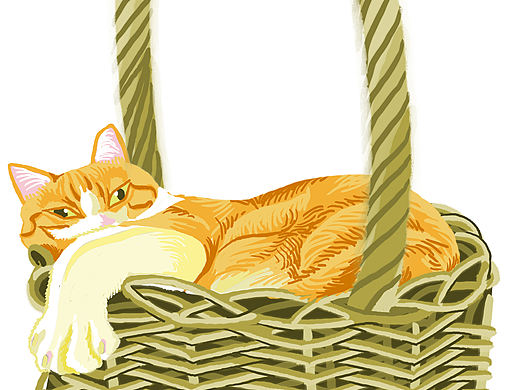 懒猫赖床（个人主页-ZNDIzMzk5NDQ=） - 创作习作 - 站酷设计师烟斗男原创素材 - 站酷ZCOOL