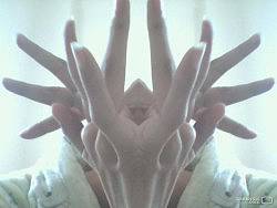 RetSam原创视频 - FingerFlowers 舞指戏法 1（个人主页-ZNTE2MTQ0） - 文案/策划 - 站酷设计师retsam原创素材 - 站酷ZCOOL