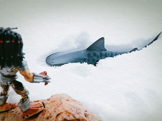 铁血战士之冰海屠🦈