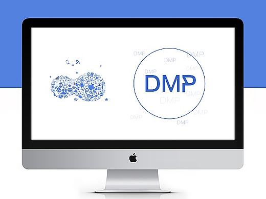 DMP数据管理平台网