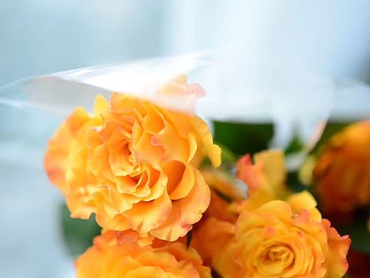 我最近努力的事情，都会成功~