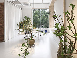 “白”設(shè)計