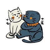 十五七的头像