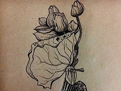 画花世界