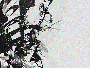 Modern Calligraphy Art 現代書法藝術 1