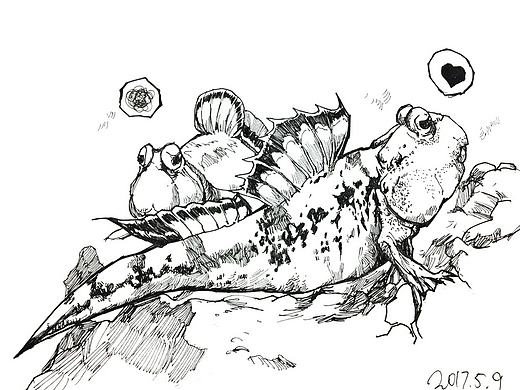 2017年5月日常_01