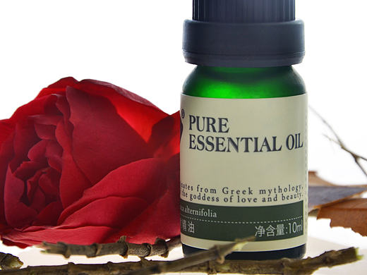 摄影学习 作品合集