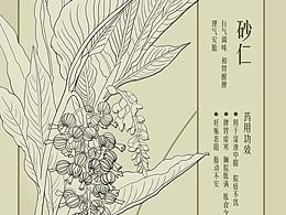 植物类