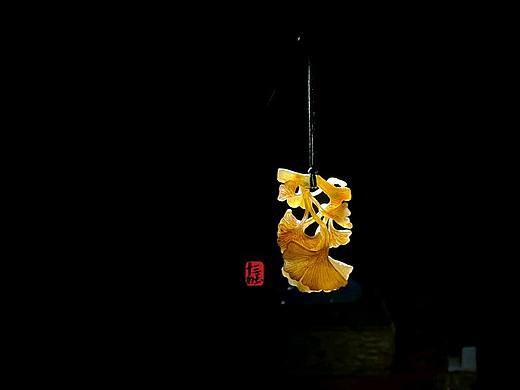卧听.南宫秋叶