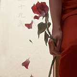 狸lll的头像