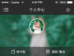 APP界面