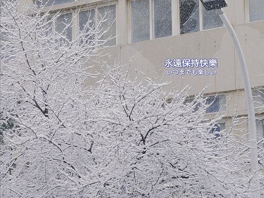 徐州初雪