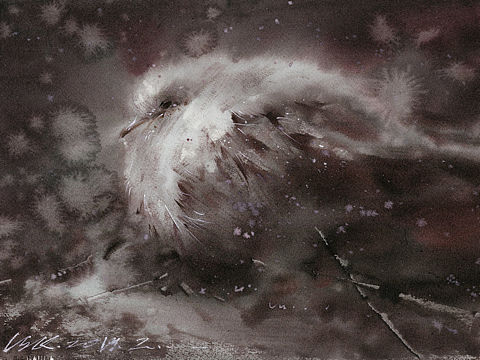 水性材料新尝试