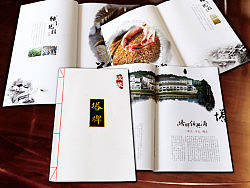 塔牌绍兴酒画册