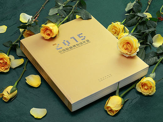 2015中国版画博物馆年鉴（二）