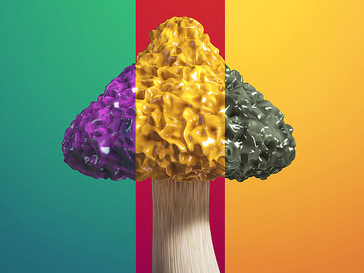 Mushroom—《蘑菇有毒》
