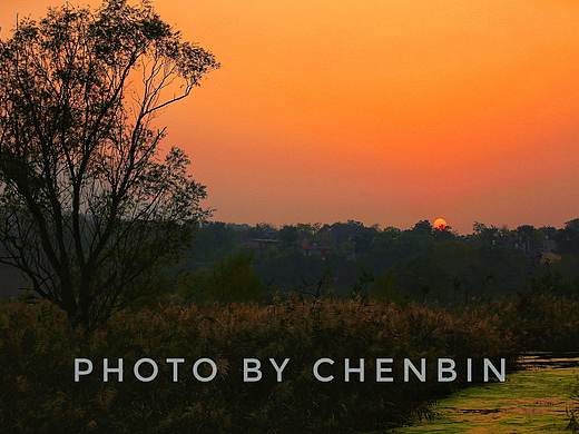 秋色（个人主页-ZMjQ3MTYzMjQ=） - 风光摄影 - 站酷设计师发现的眼睛A原创素材 - 站酷ZCOOL