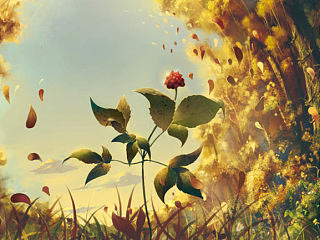 西洋参产品画册设计稿（个人主页-ZNTQ0NTA2NA==） - 书籍/画册 - 站酷设计师nuno原创素材 - 站酷ZCOOL