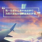 阿白33的头像