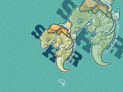 爬寵logo設(shè)計(jì)（個(gè)人主頁-ZNTk3ODgwMzI=） - 商業(yè)插畫 - 站酷設(shè)計(jì)師Z934468124原創(chuàng)素材 - 站酷ZCOOL