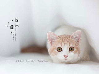 蓝沫字体设计（个人主页-ZNjUwMzc3Mg==） - 字体/字形 - 站酷设计师蓝沫原创素材 - 站酷ZCOOL