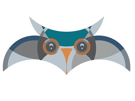 貓頭鷹（個(gè)人主頁-ZMTQ0OTI5NDA=） - 運(yùn)營設(shè)計(jì) - 站酷設(shè)計(jì)師Sidney_L原創(chuàng)素材 - 站酷ZCOOL