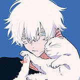 猫便便的头像