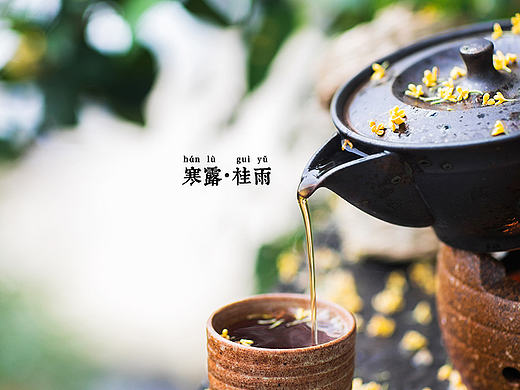 人生能有几次美好的际遇