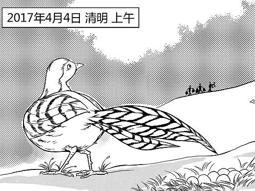 一场清明的祭祀，一份残忍的母爱！