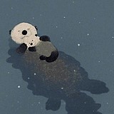 a大饼的头像