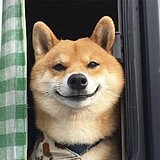 爆炒快乐的头像