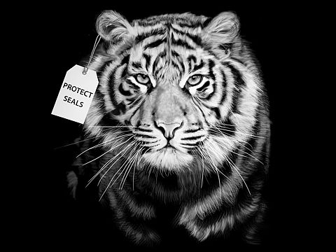 保护动物，拒绝皮草