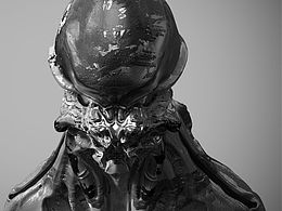 有几丁质的外壳的 脊椎动物