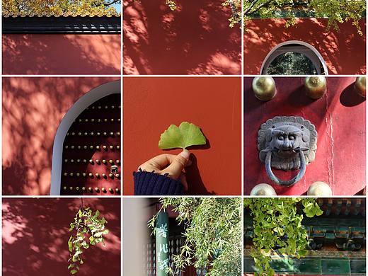 金陵的秋——明孝陵